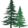 Northernaire Resort
