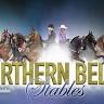 Northern Belle Stables