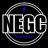 Northern Elite Gymnastics And Cheer