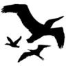 North Florida Regional Chamber of Commerce