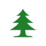 North Pine Insurance