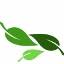 North Shore Allergy & Asthma