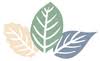 North Shore Wellness Collective