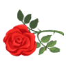 Northville Funeral Services Inc
