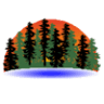Northwoods Community CU