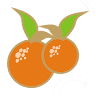 Novo Citrus Indústria e Comércio Ltda