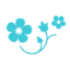 Nozomi Dental Clinic