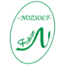 Nozsolt