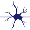 North Queensland Neurosurgery & Spinal Surgery