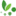 NQ Tropical Seeds