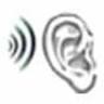 New River Valley Hearing