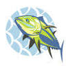 Newport Sportfishing Charters