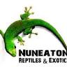Nuneaton Reptiles & Exotics
