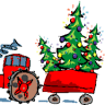 Nunton Lodge Farm Christmas Trees