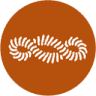 Nushu Textiles