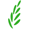 Nutrifresh Foods Ltd