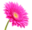 Nuxley Road Florist