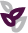 National Youth Advocate Program