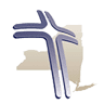 New York State Council of Churches