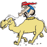 Oakfield Ranch Camel Rides