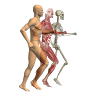 Oakleigh Physio