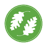 Oaks Properties LLC