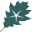 OakStar Bank