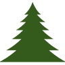 Oakwood Tree Services