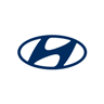 Hyundai Oarso Car - Beasain