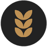 Oatey Media