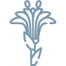 O’Brien Family Funeral Home