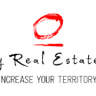 Occupy Real Estate Group LLC