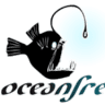 Ocean Freediving Lanzarote - Freediving School & Apnea Center