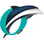 Ocean Glass Company