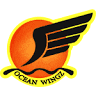 Ocean wingz Flying School