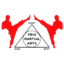 American Dragon Martial Arts Academy