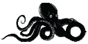 Octopus Oualidia