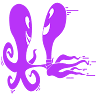 SAUNA OCTOPUS