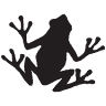Odd Frog Lodges