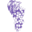 Odessa Country Winery LLC