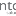 Odontoss