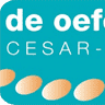 Geurtsen, Praktijk voor Oefentherapie Cesar