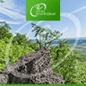 GeTour GmbH Tourist-Information