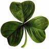 O'Kellys Irish Pub
