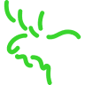 Orienteerumisklubi Võru