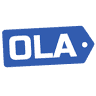 Online Liquidation Auction