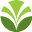 OLAM HONDURAS S.A.