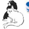 Southwest Plaza Animal Hospital