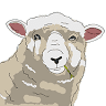 Old Farm Productions LLC