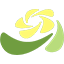 Oleander